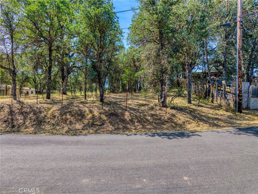 16793 Big Bear, Lower Lake, CA 95457 — photo 1