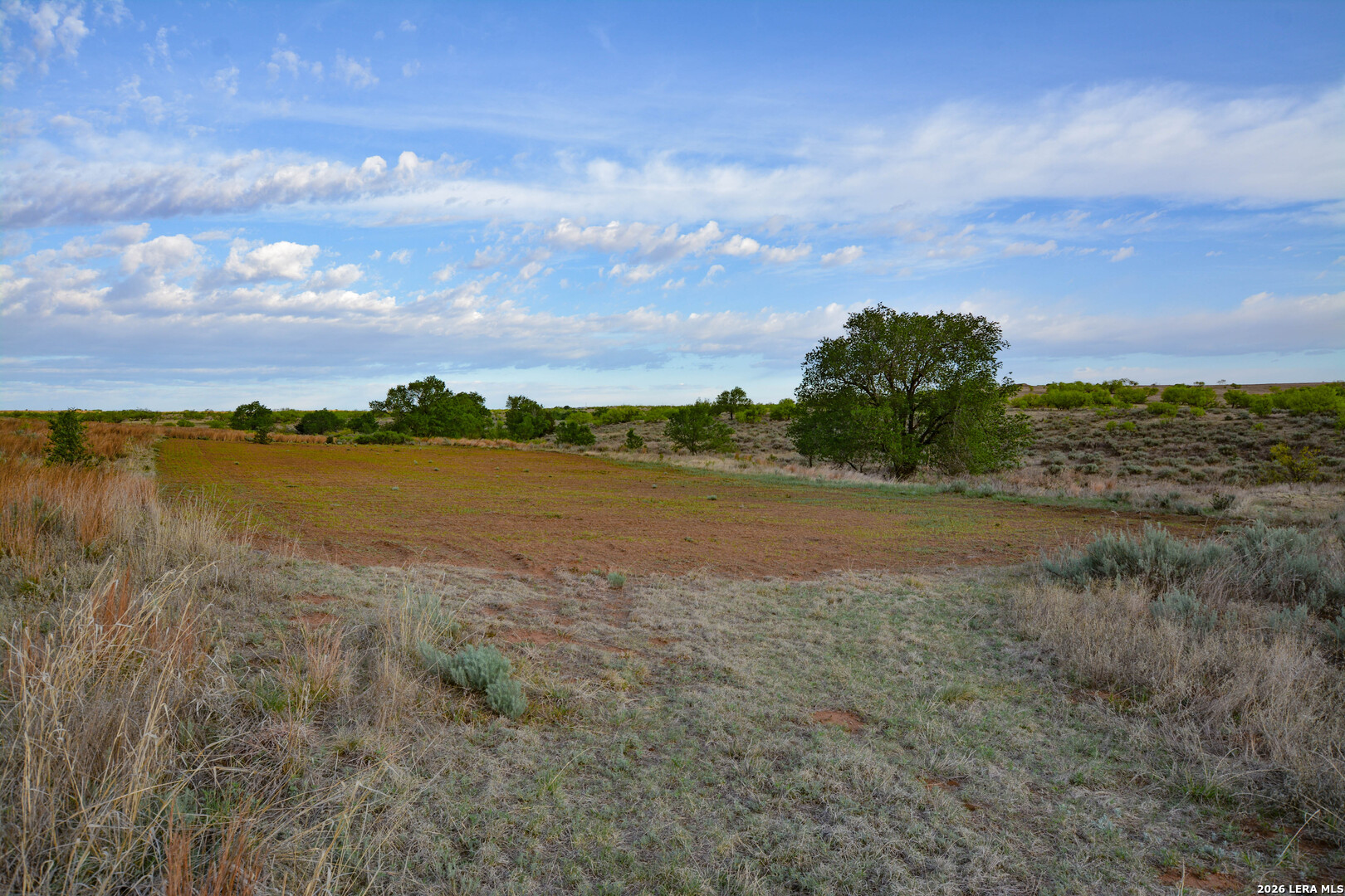TBD CR 1, ,  79079 — photo 1