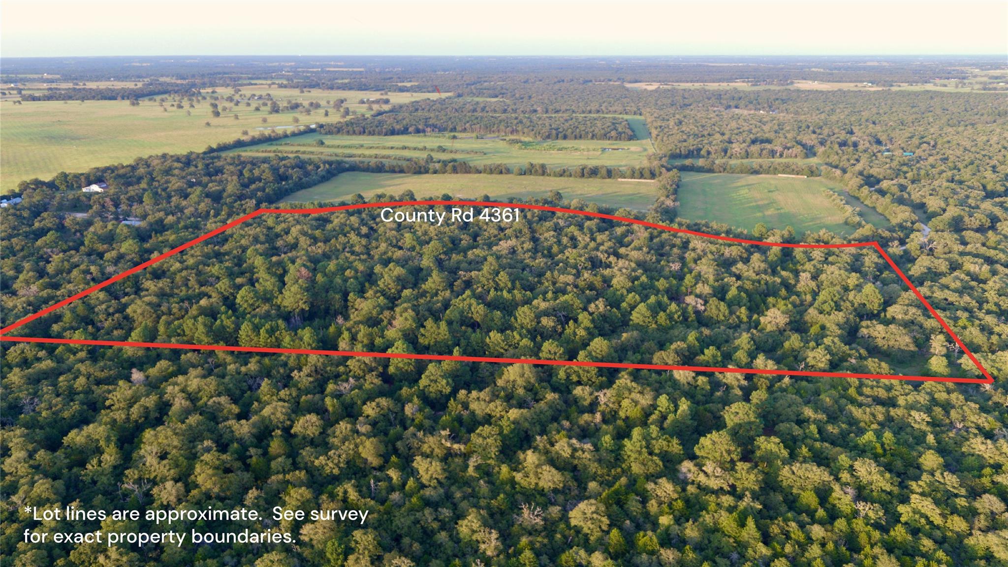 TBD Private Road 4361, Dime Box, TX 77853 — photo 1