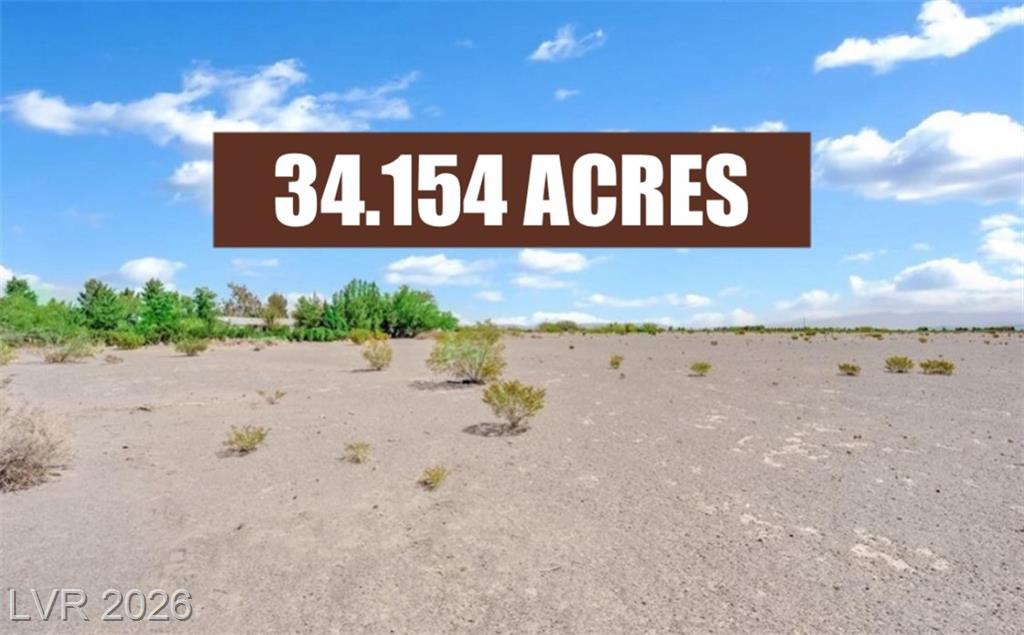 3699 South Miner Road, Amargosa Valley, NV 89020 — photo 1