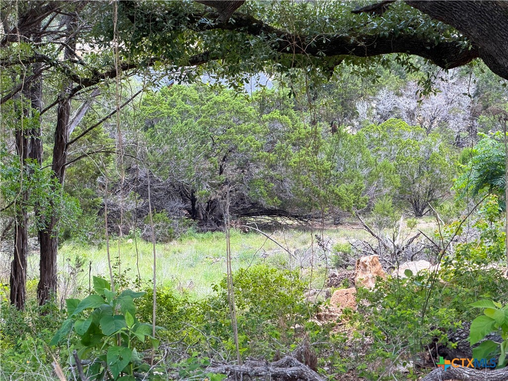 273 Scenic Drive, Canyon Lake, TX 78133 — photo 1