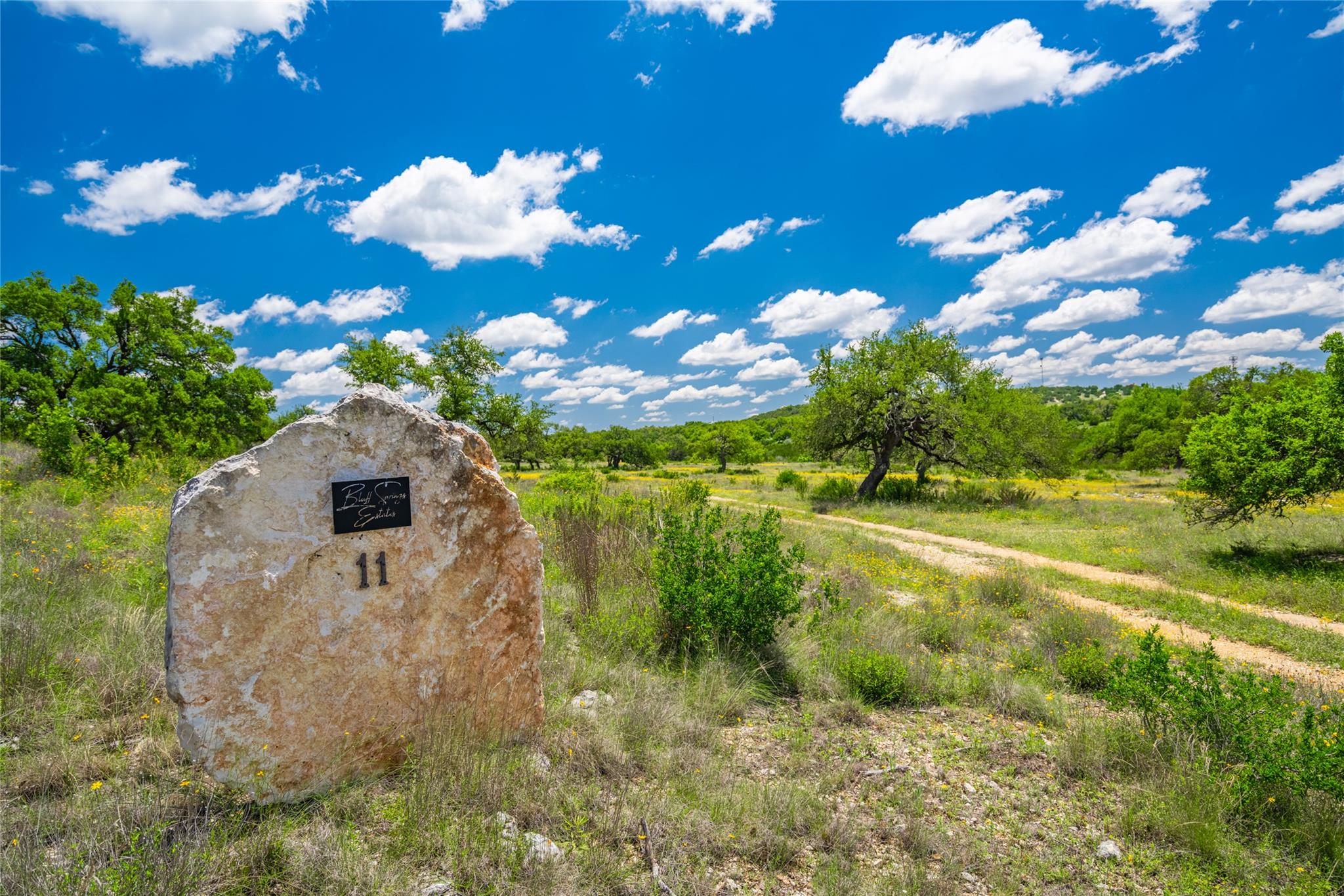 262 Cuesta, Driftwood, TX 78619 — photo 1