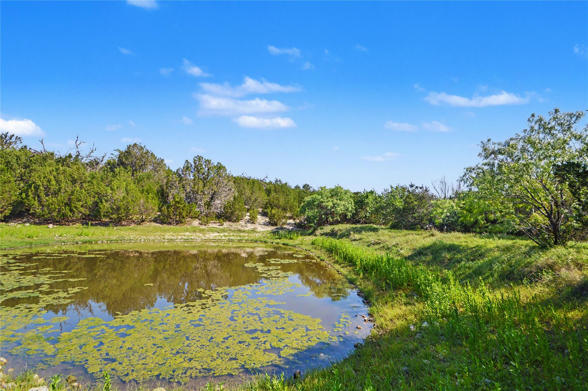 179 County Road 318, Goldthwaite, TX 76844 — photo 1