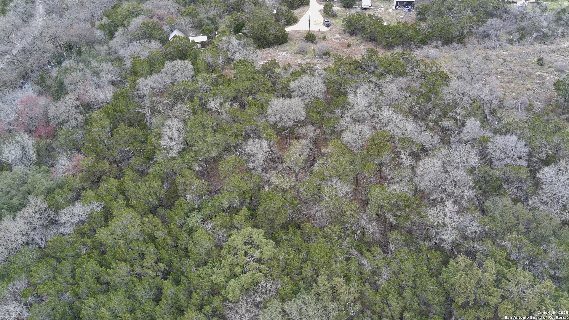 165 BLUE BONNET HILL CIR, ,  78070 — photo 1