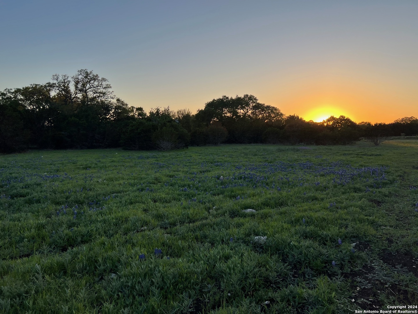 000 Vaquero, ,  78063 — photo 1