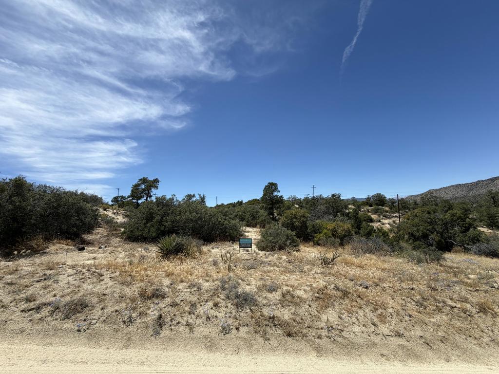 Lot 104 Scenic Drive, Mountain Center, CA 92561 — photo 1