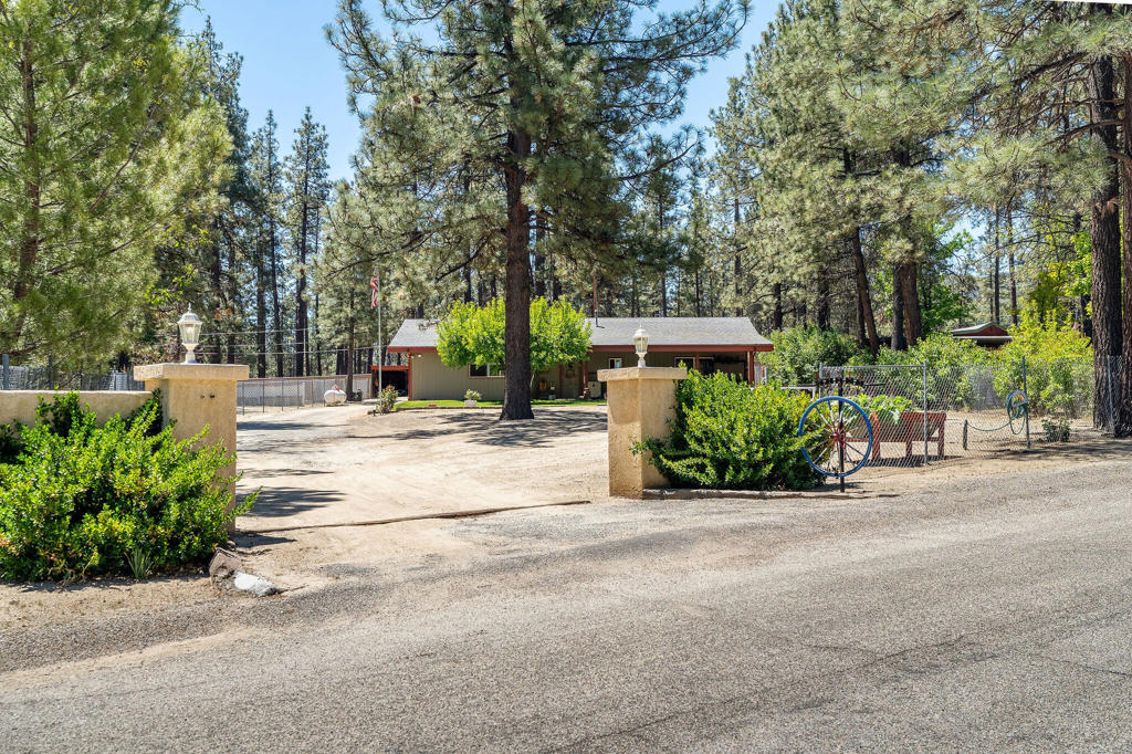 59341 Courtesy Drive, Mountain Center, CA 92561 — photo 1