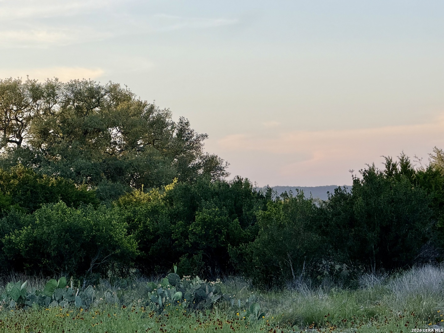 TBD Melodia, ,  78006 — photo 1