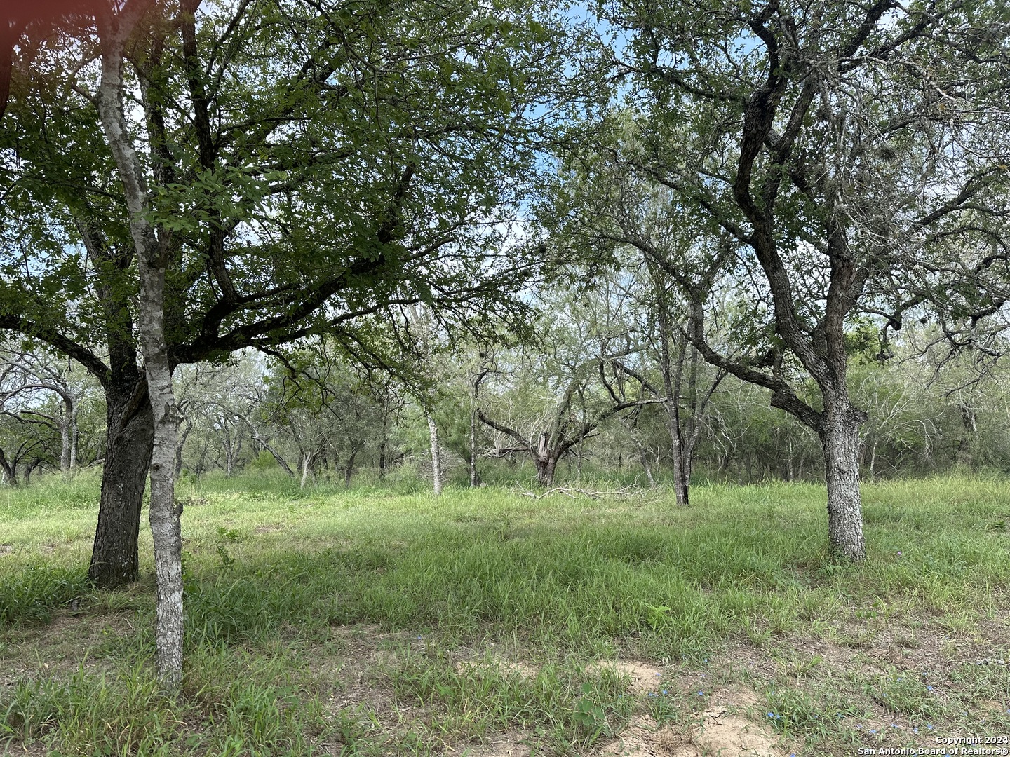 20588 S State Highway 16, Von Ormy, TX 78073 — photo 1