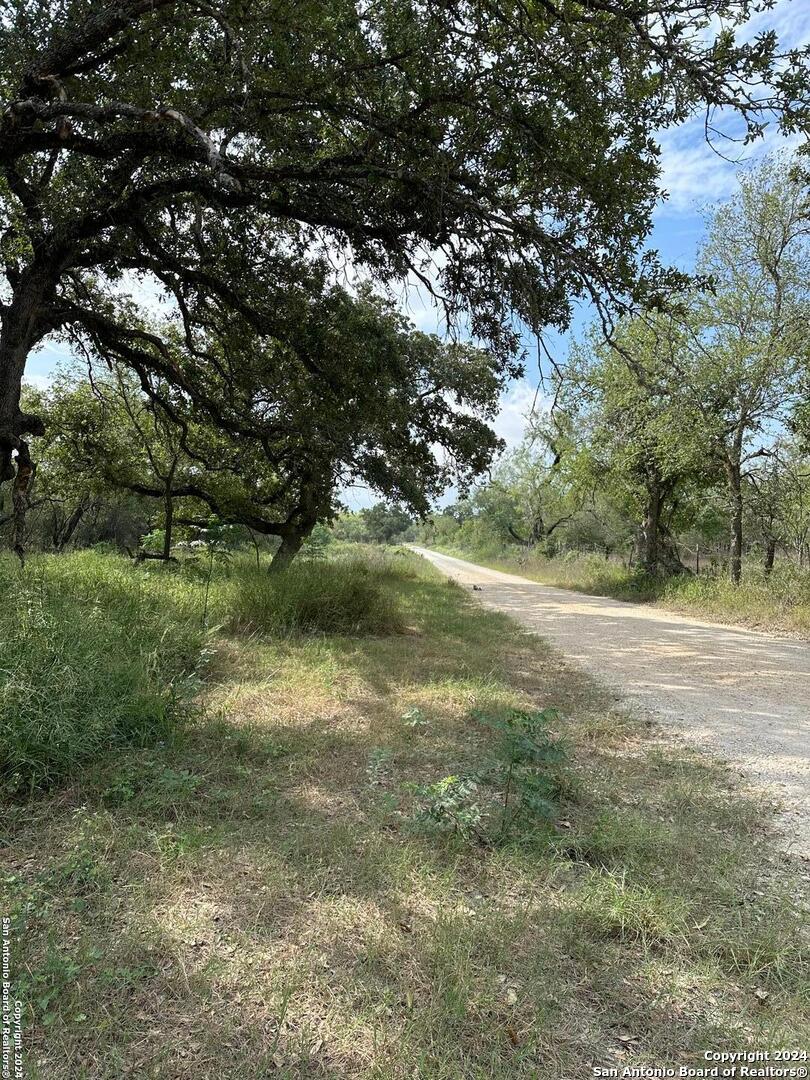 20594 S State Highway 16, Atascosa, TX 78264 — photo 1