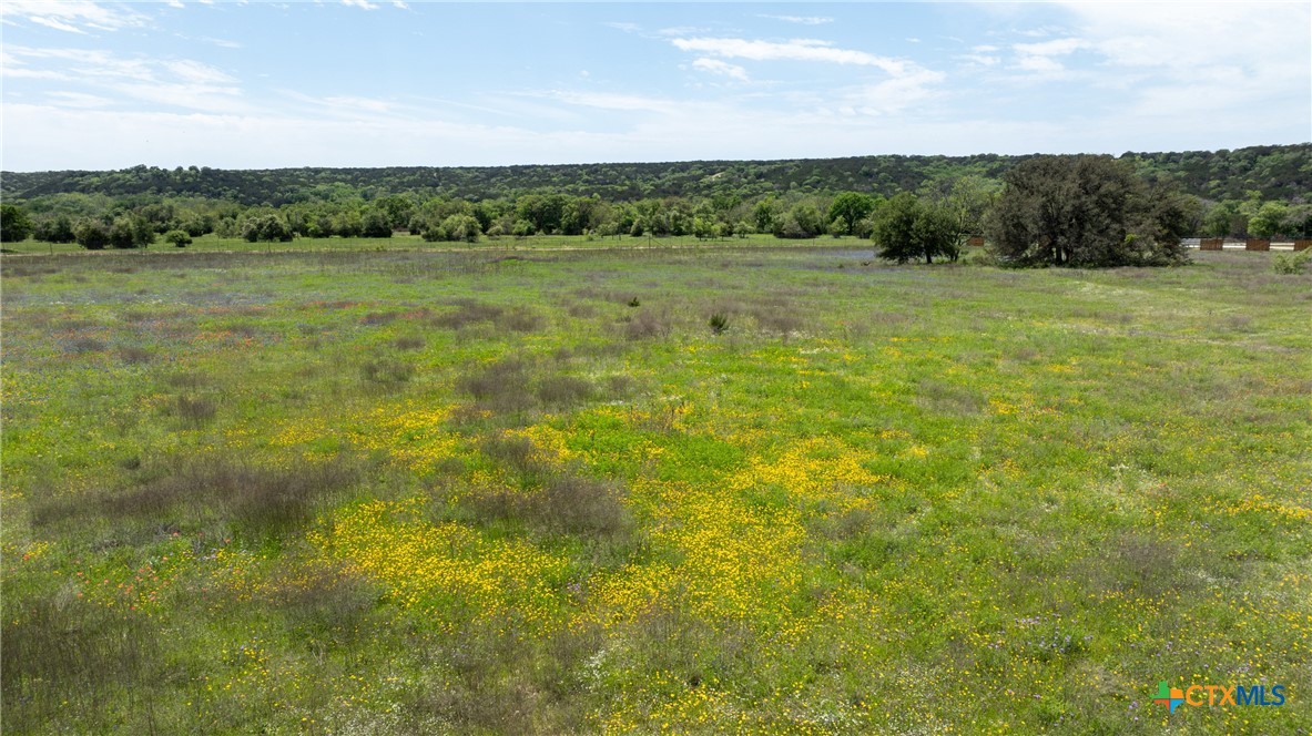 110 Yellowstone Drive, Oglesby, TX 76561 — photo 1