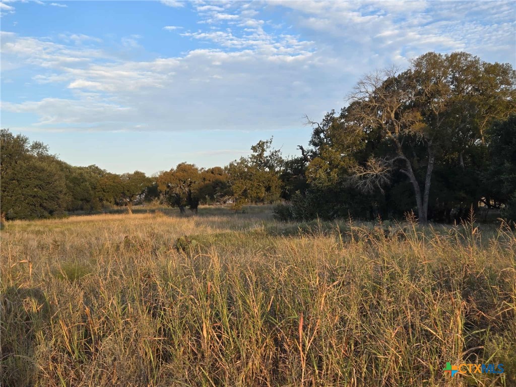 317 Yellowstone Drive, Oglesby, TX 76561 — photo 1