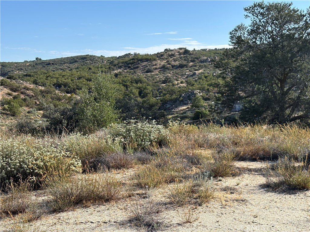 0 Dry Wash Road, Anza, CA 92539 — photo 1