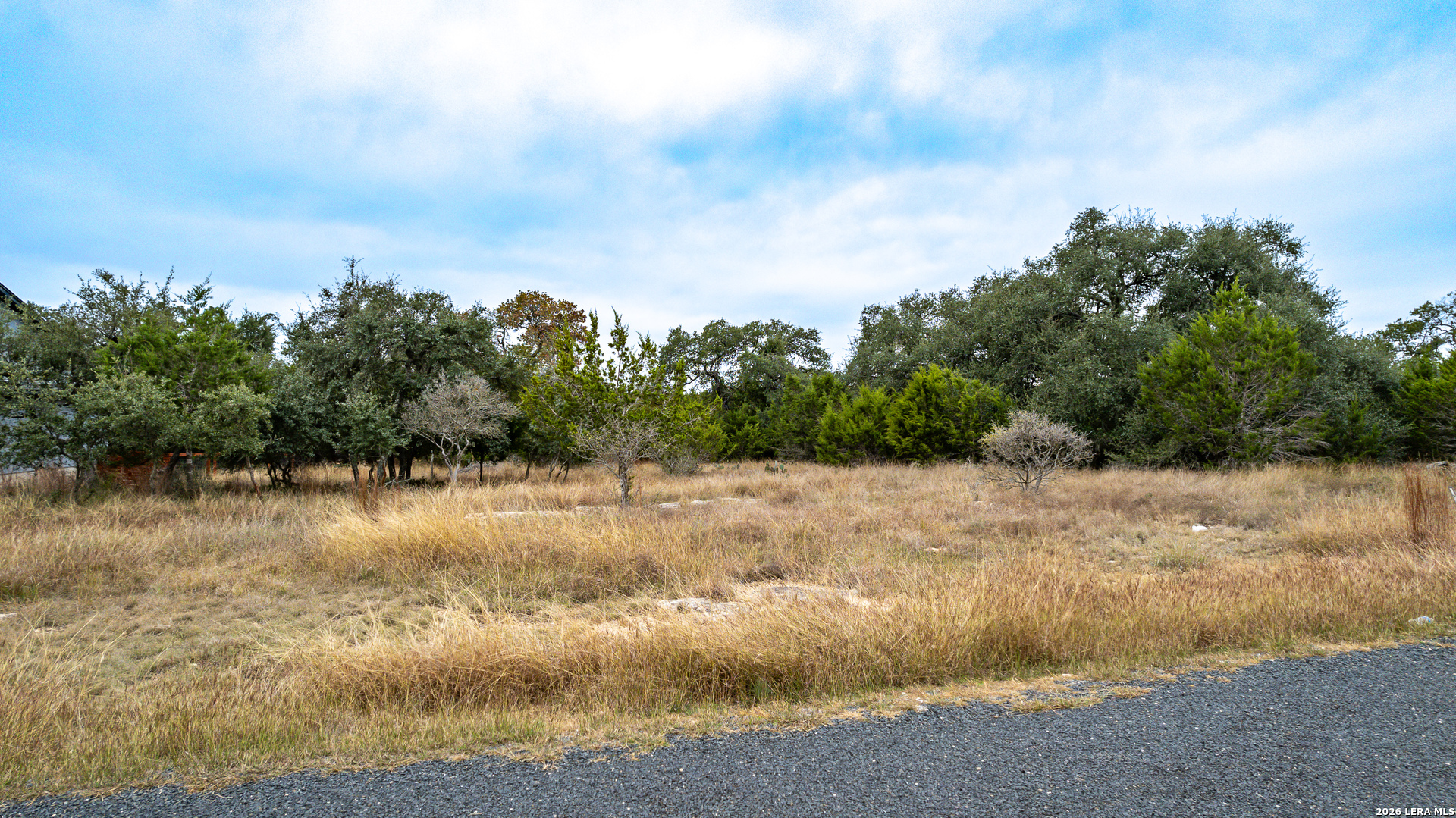 614 S Calvin Barrett, Blanco, TX 78606 — photo 1