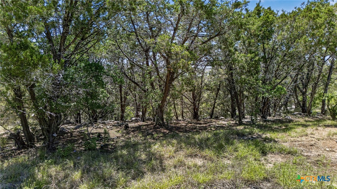 600 Lorne Road, Canyon Lake, TX 78133 — photo 1