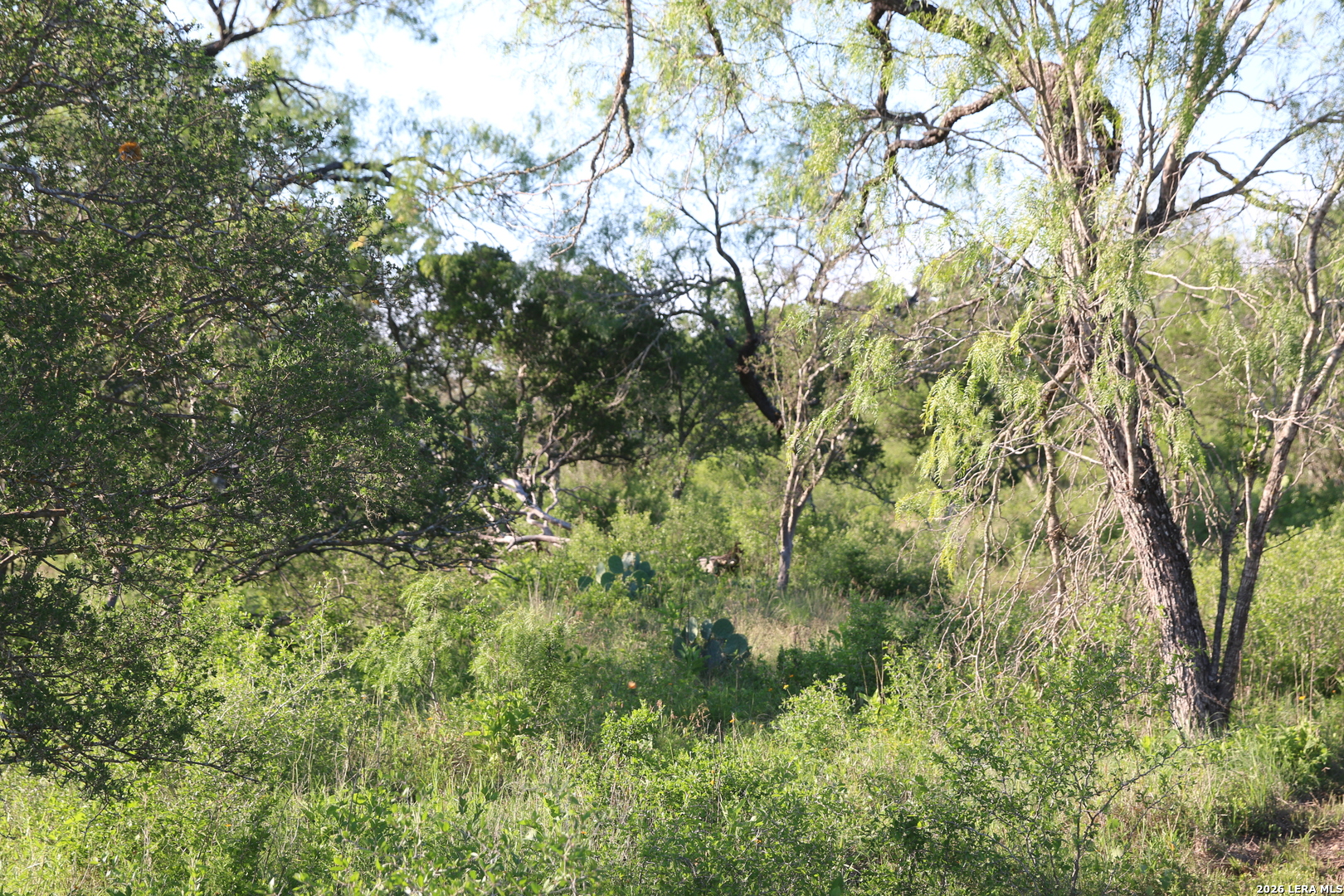 TBD County Road 367, Hondo, TX 78861 — photo 1