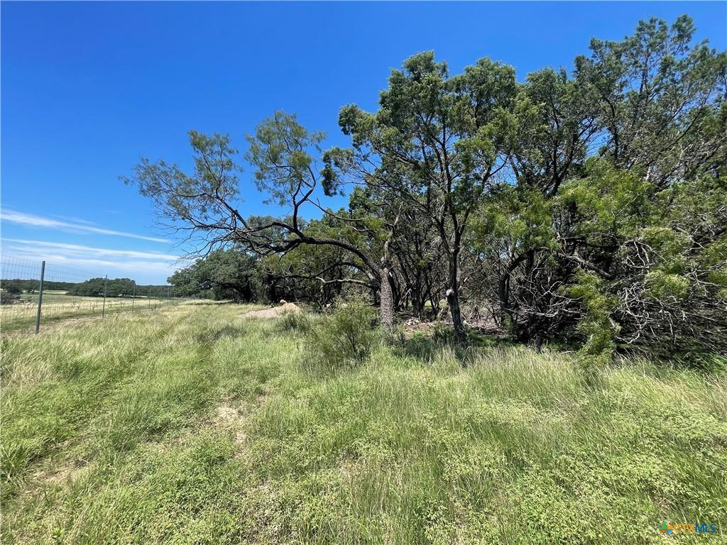 Lot 65 Estate View Circle None, Lampasas, TX 76550 — photo 1