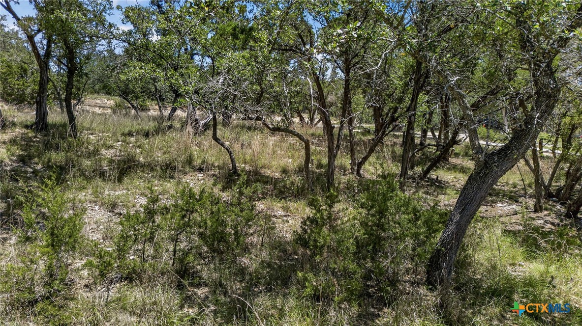 00 Campbell Drive, Canyon Lake, TX 78133 — photo 1