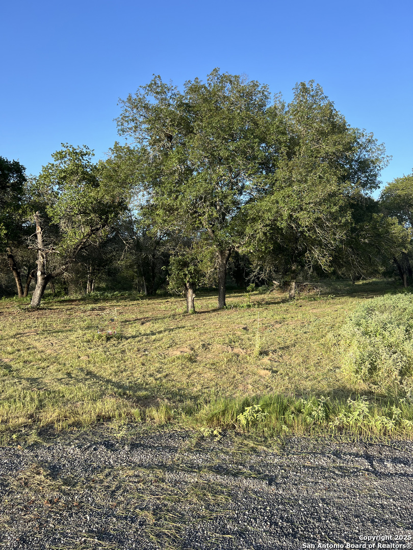 108 Timber, La Vernia, TX 78121 — photo 1