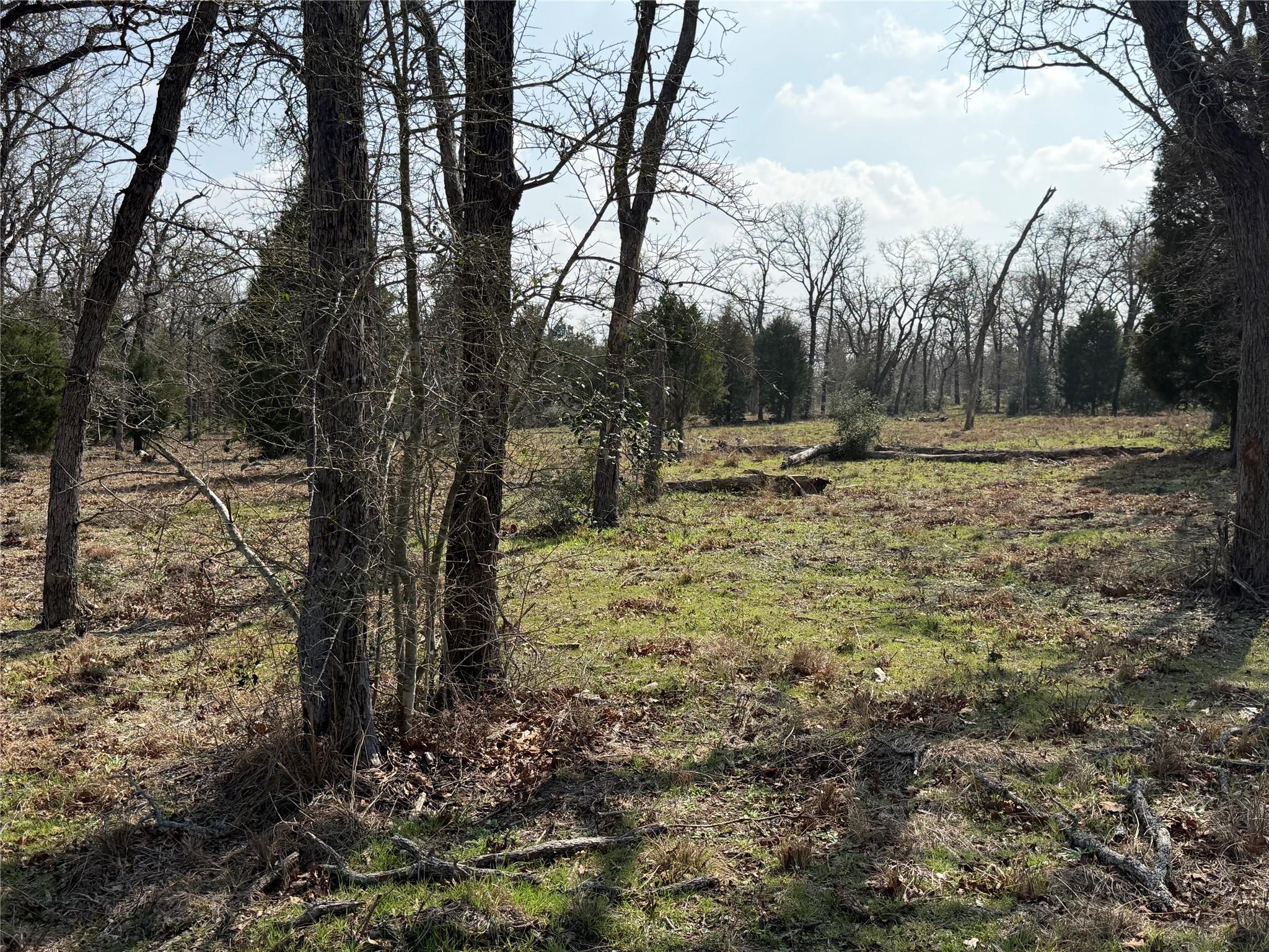 TBD N County Line Rd, Elgin, TX 78621 — photo 1