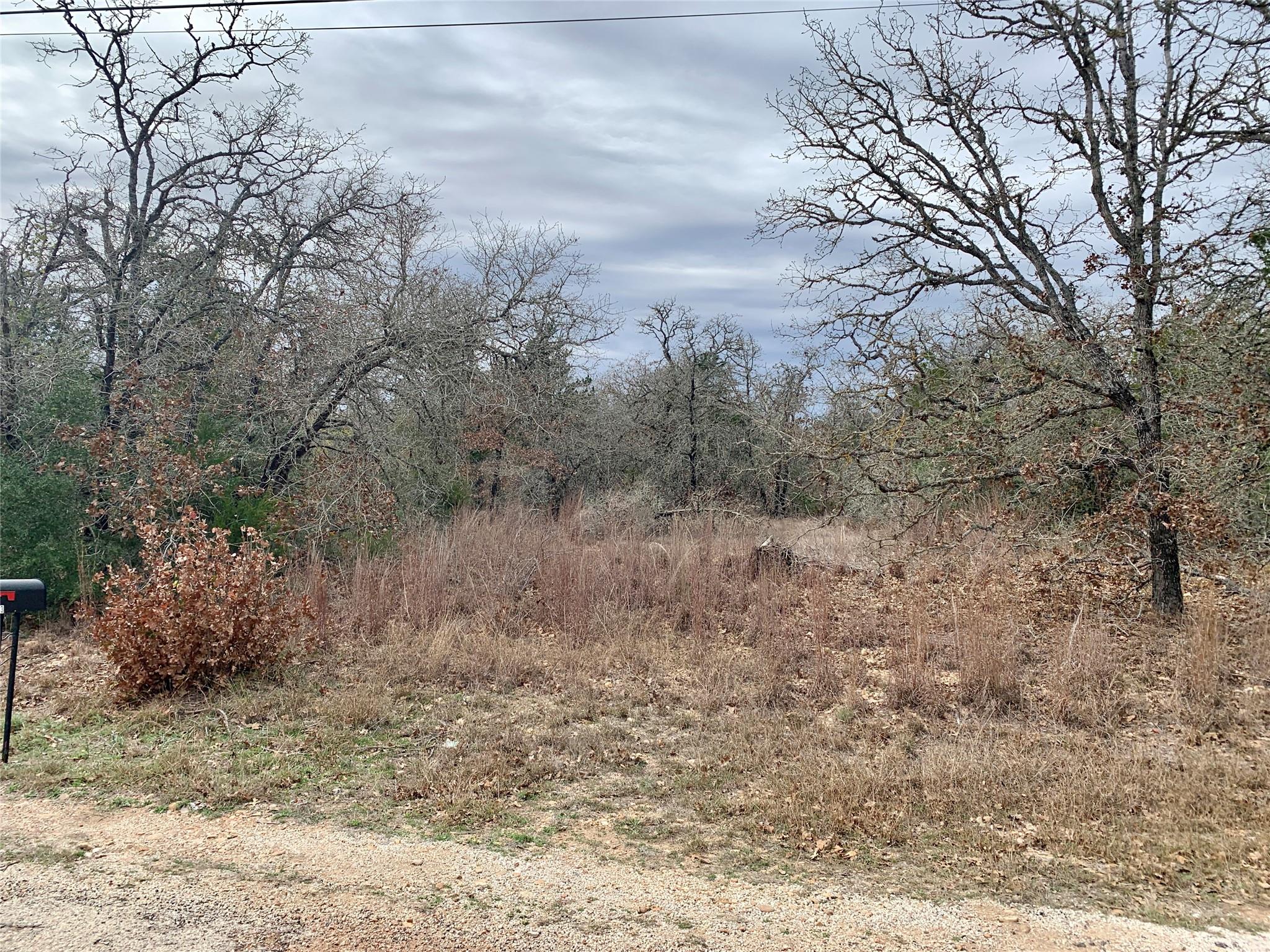 TBD Peace Pipe/Buffalo Run, Smithville, TX 78957 — photo 1