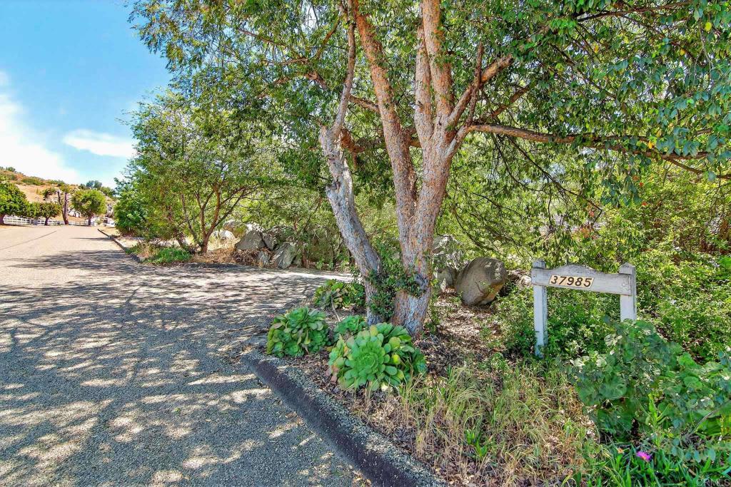 37985 Avenida Bravura, Temecula, CA 92592 — photo 1