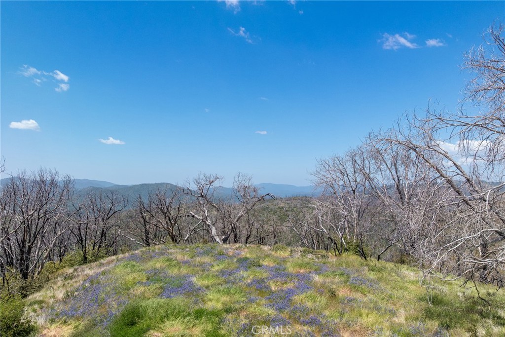 39 Acres Buckingham Mountain Road, Mariposa, CA 95338 — photo 1