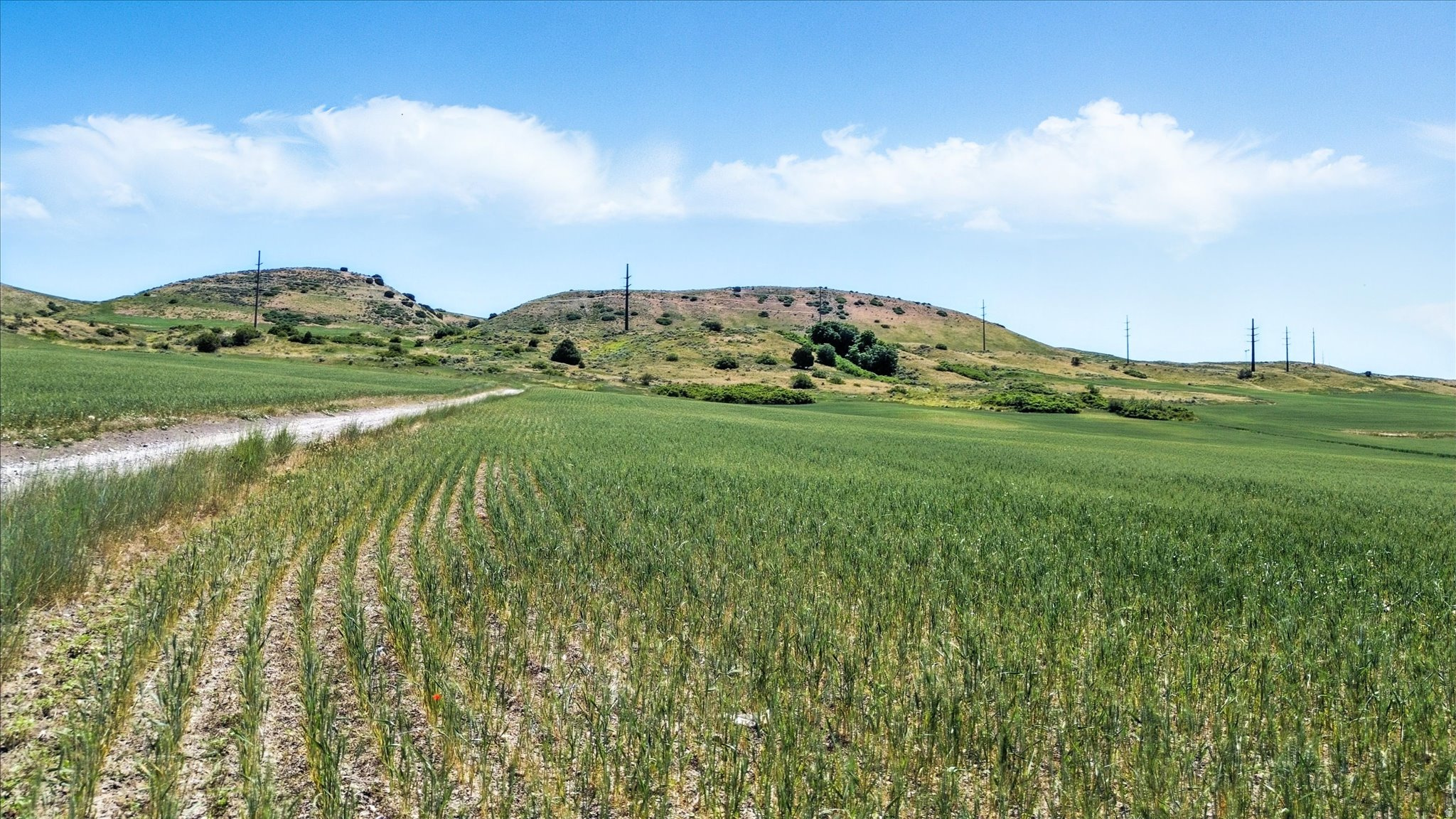 16408 N BEAVER DAM RD, Beaverdam, UT 84306 — photo 1