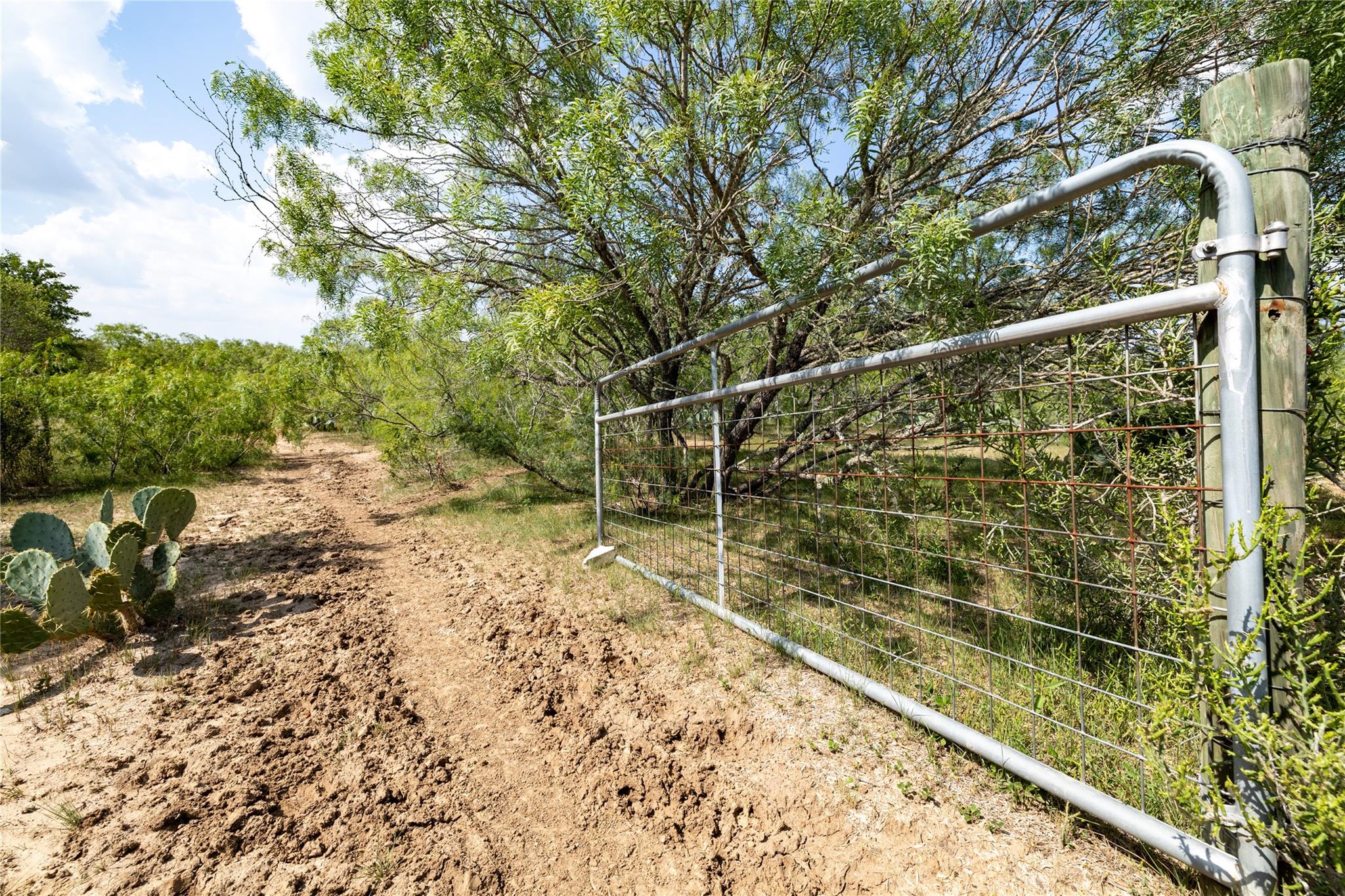410 Green Acre, Dale, TX 78616 — photo 1