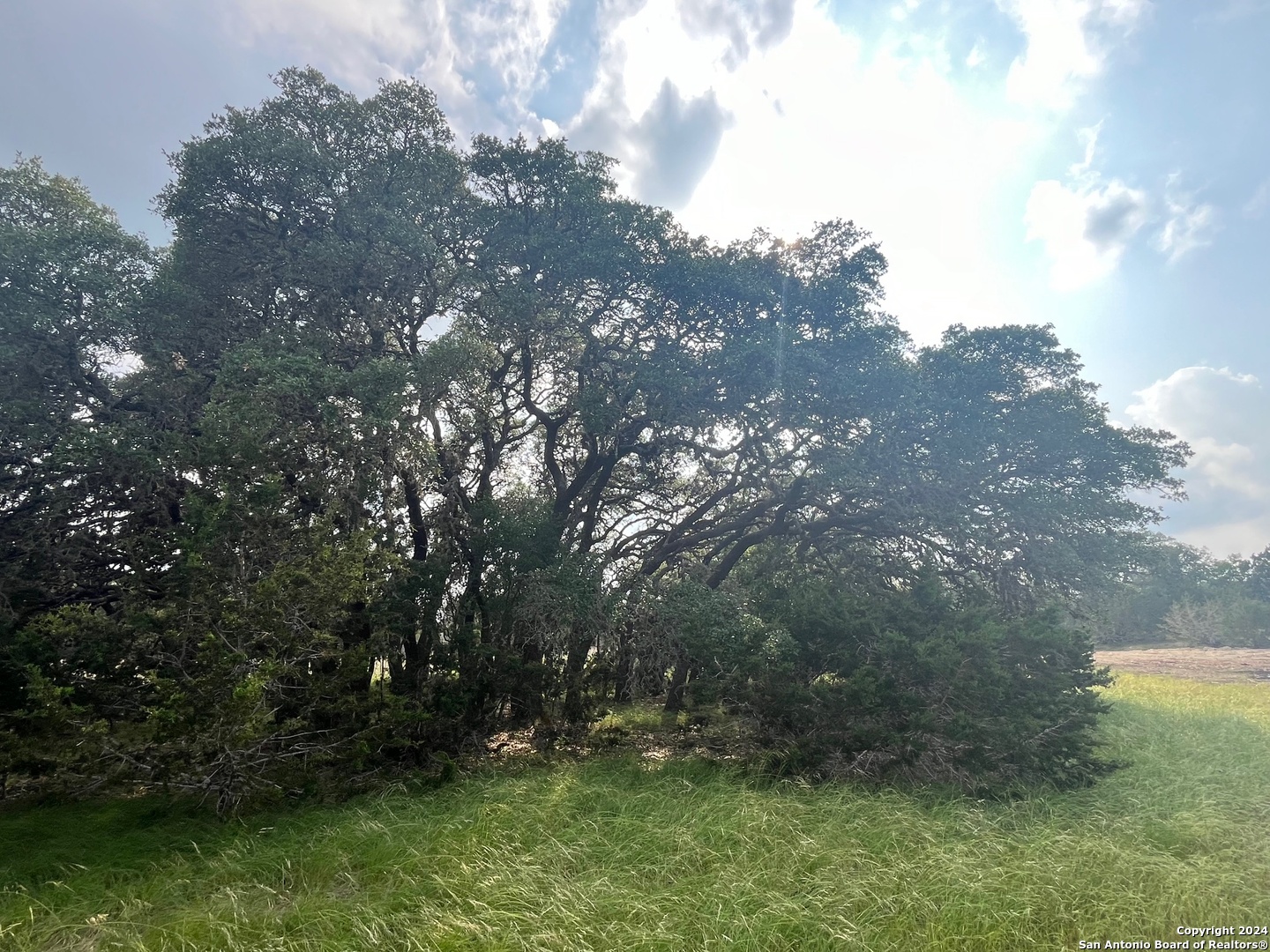 25 Vaquero, ,  78063 — photo 1