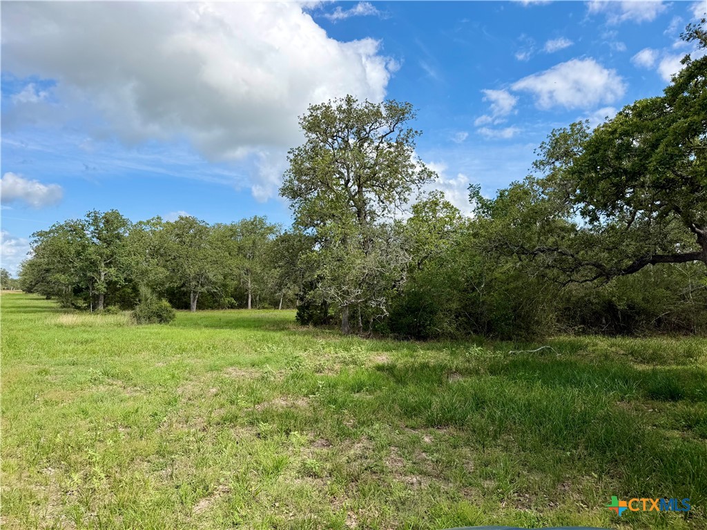 15631 Fm 682 - TRACT E, Yoakum, TX 77995 — photo 1