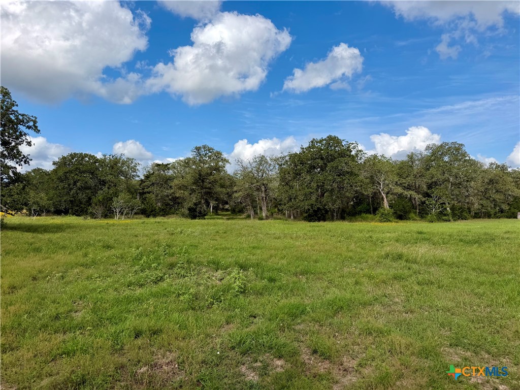 15631 Fm 682 - TRACT D, Yoakum, TX 77995 — photo 1