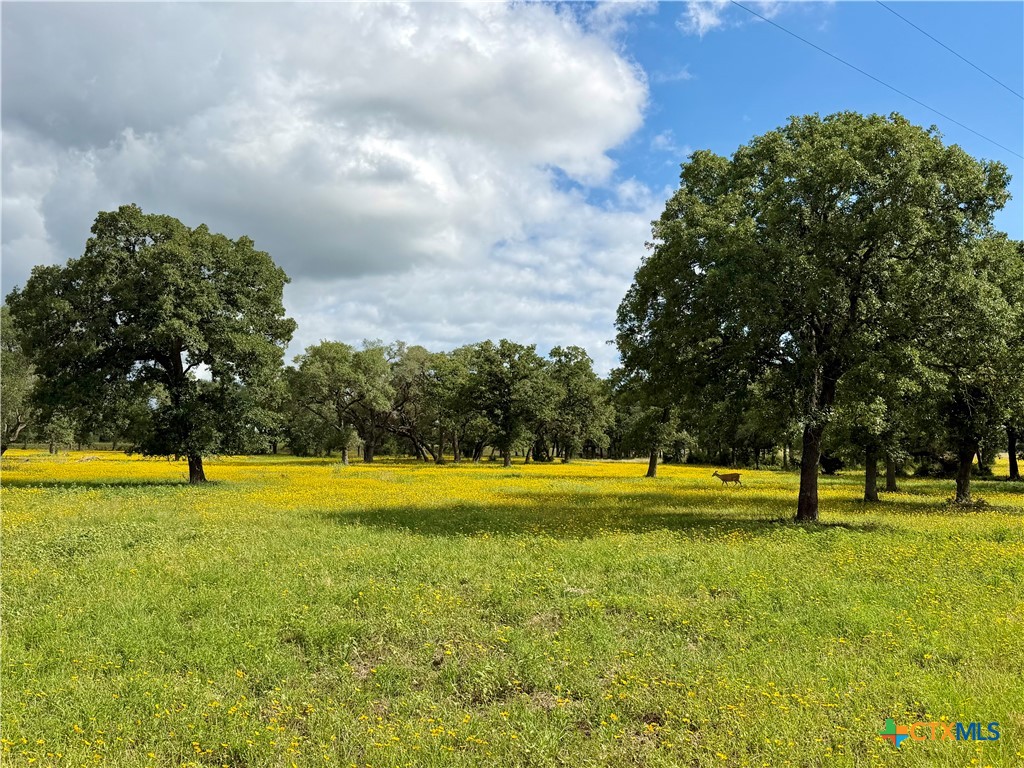 15631 Fm 682 - TRACT C, Yoakum, TX 77995 — photo 1