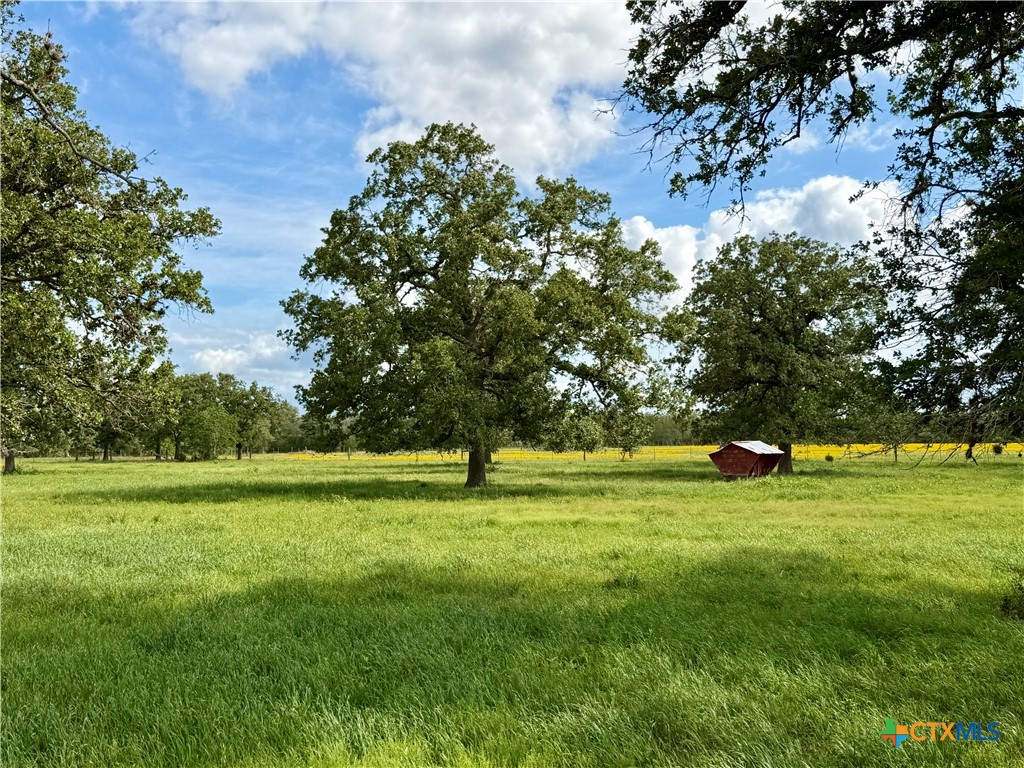 15631 Fm 682 - TRACT B, Yoakum, TX 77995 — photo 1