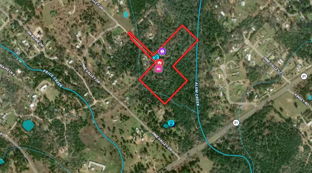 224 Pine Valley, Paige, TX 78659 — photo 1