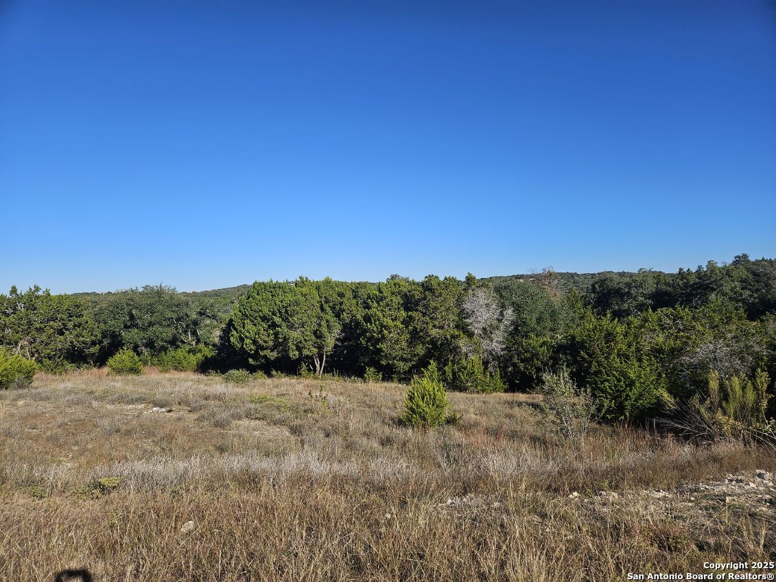 2385 Comal Spgs, Canyon Lake, TX 78133 — photo 1