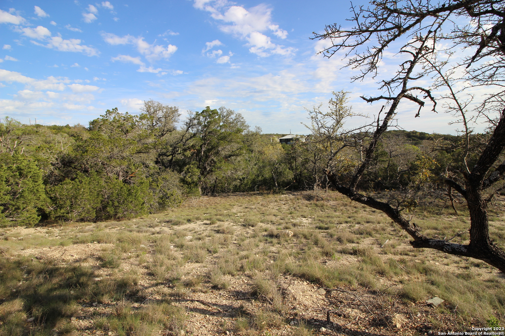 225 Magnolia Meadows, Canyon Lake, TX 78133 — photo 1
