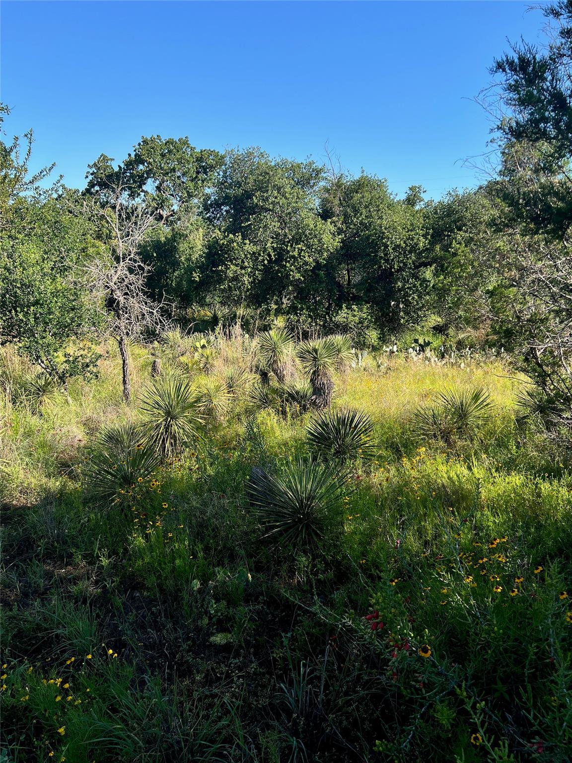 TBD Castlelake, Granite Shoals, TX 78654 — photo 1