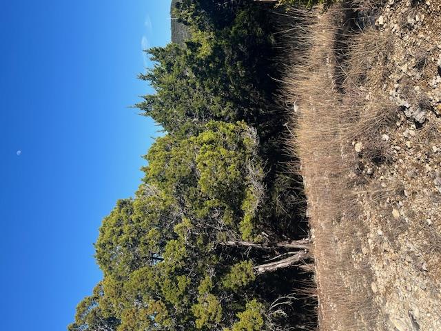 201 Assiniboia, Canyon Lake, TX 78133 — photo 1