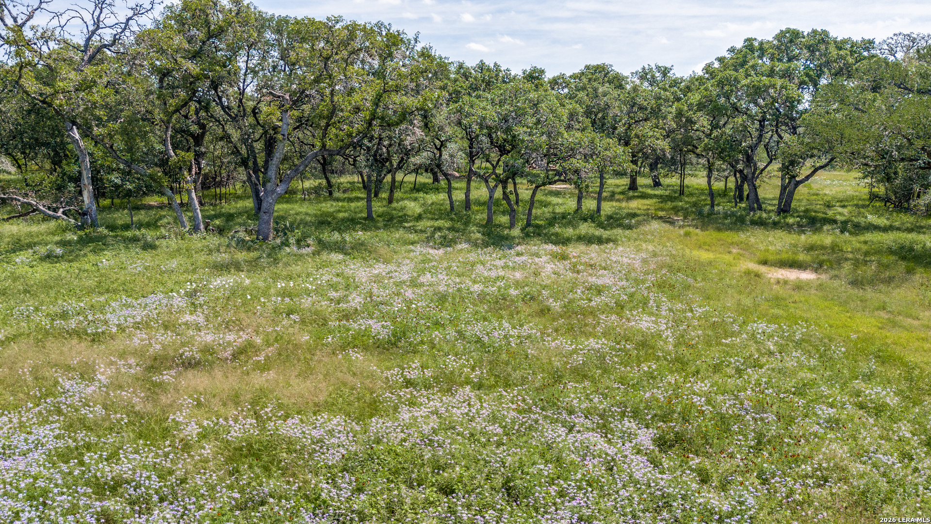10400 Oakland Rd, San Antonio, TX 78240 — photo 1