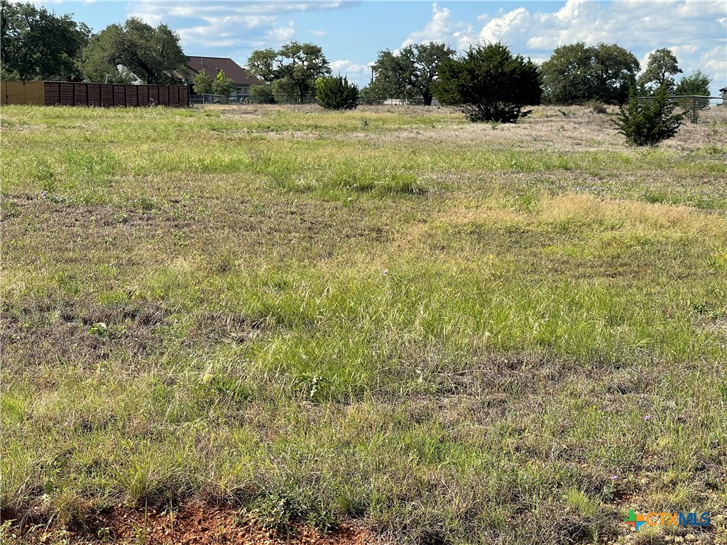 TBD Joseph Durst, Blanco, TX 78606 — photo 1