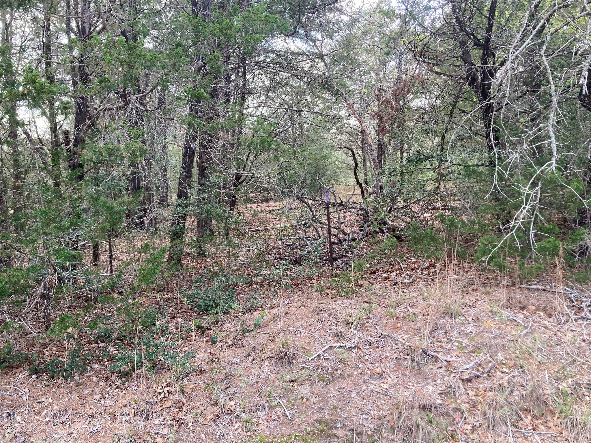 314 Green Oaks, Bastrop, TX 78602 — photo 1