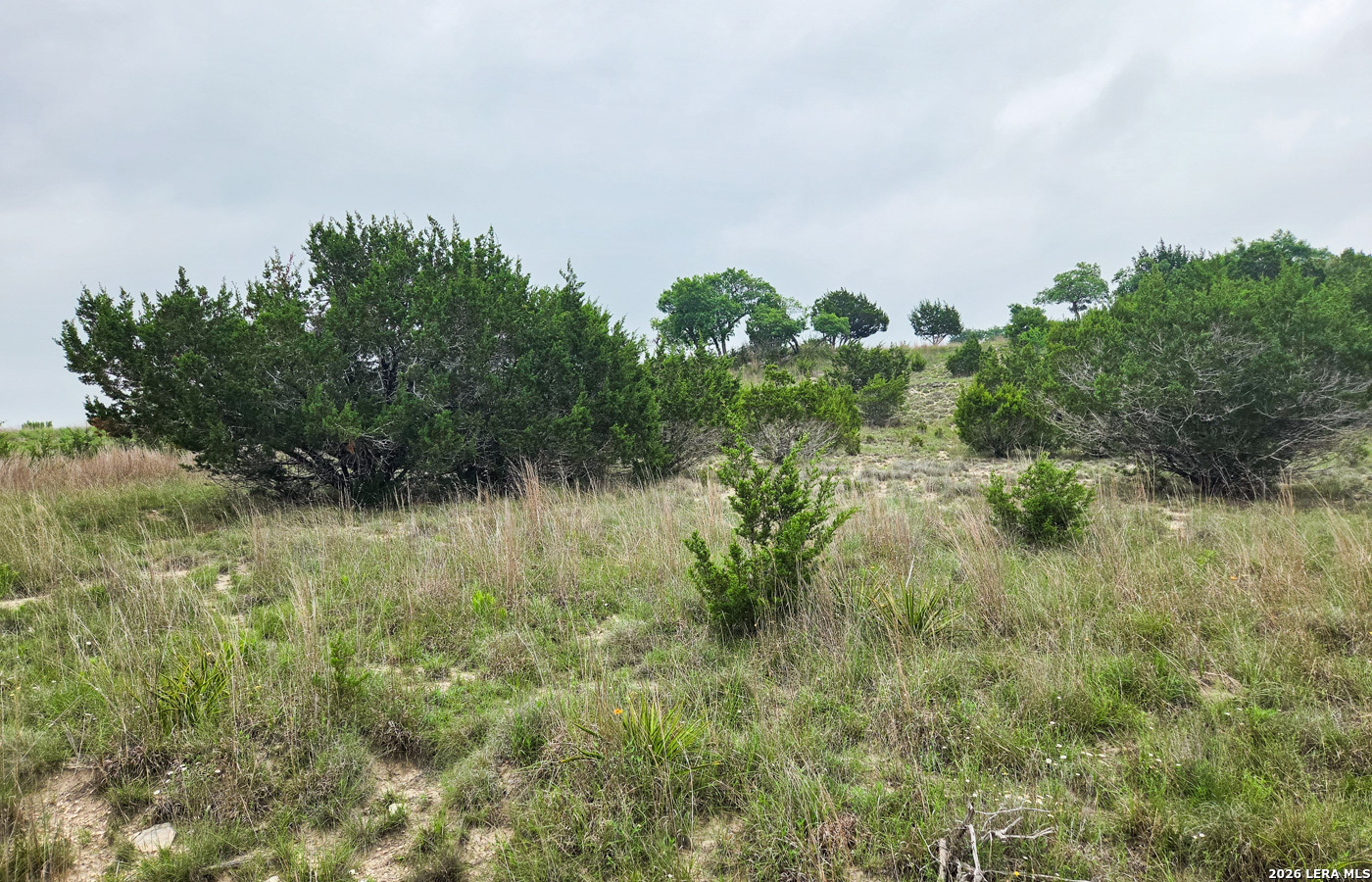 TBD Falling Oak, ,  78606 — photo 1