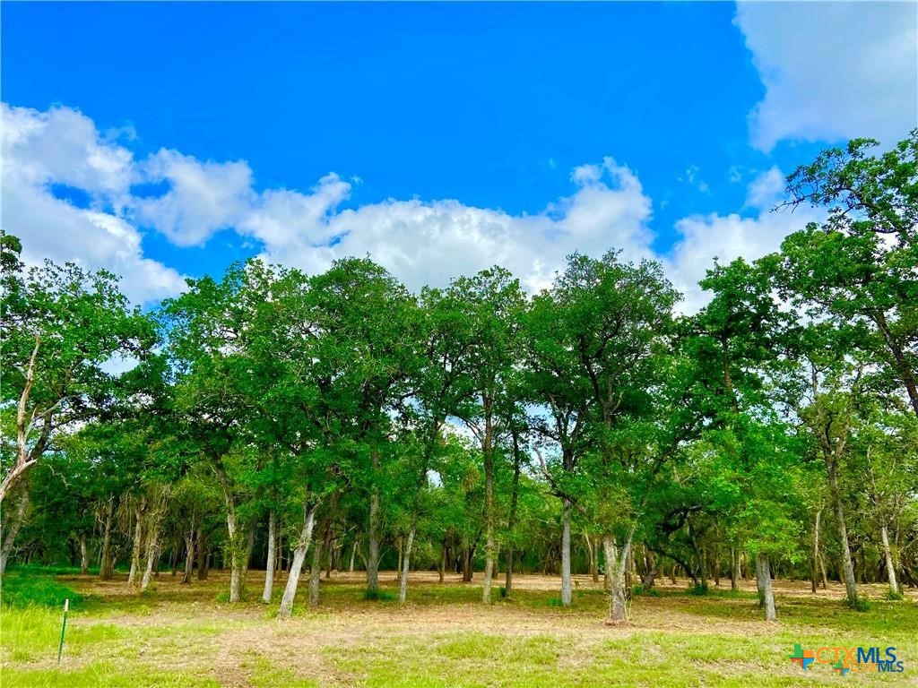208 Post Oak Road, Inez, TX 77968 — photo 1