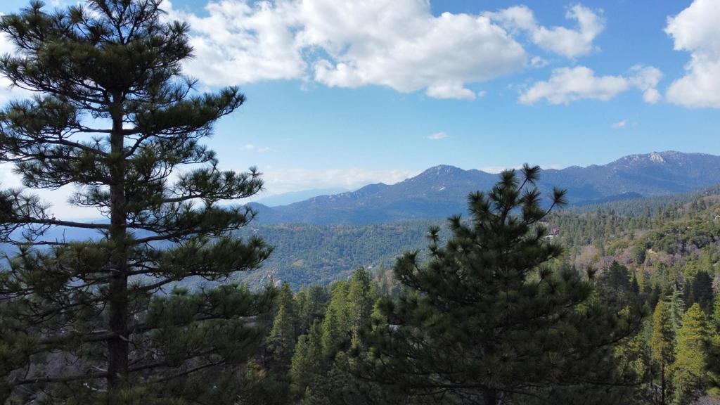 0 Green Craig, Idyllwild, CA 92549 — photo 1