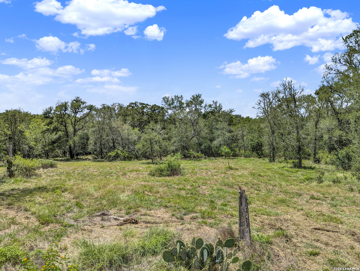 00 Whitetail Dr, , 78612 — photo 1