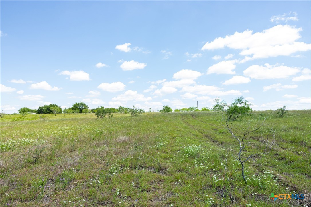 Lot 4 HWY 36, Rogers, TX 76569 — photo 1