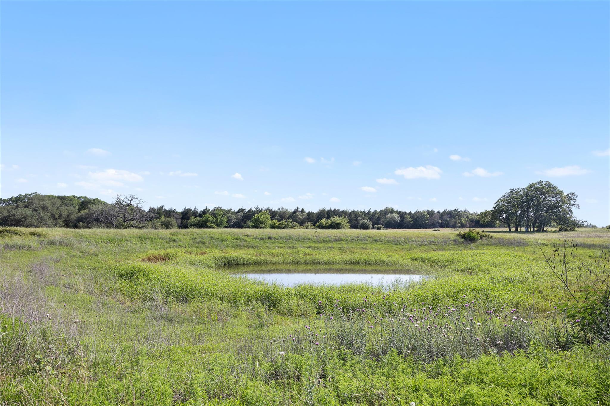1310 Nassau, Round Top, TX 78954 — photo 1