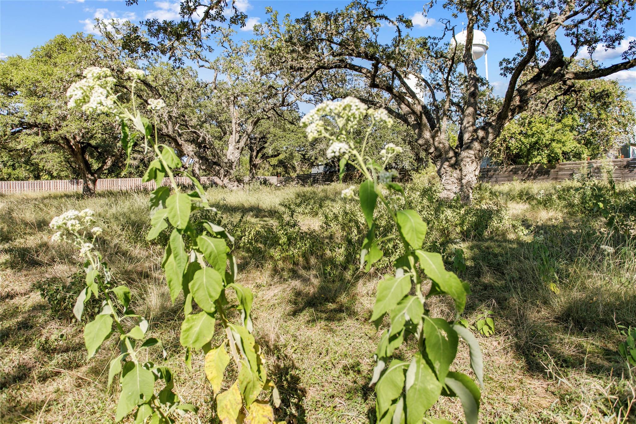 1420 Greenlawn, Blanco, TX 78606 — photo 1
