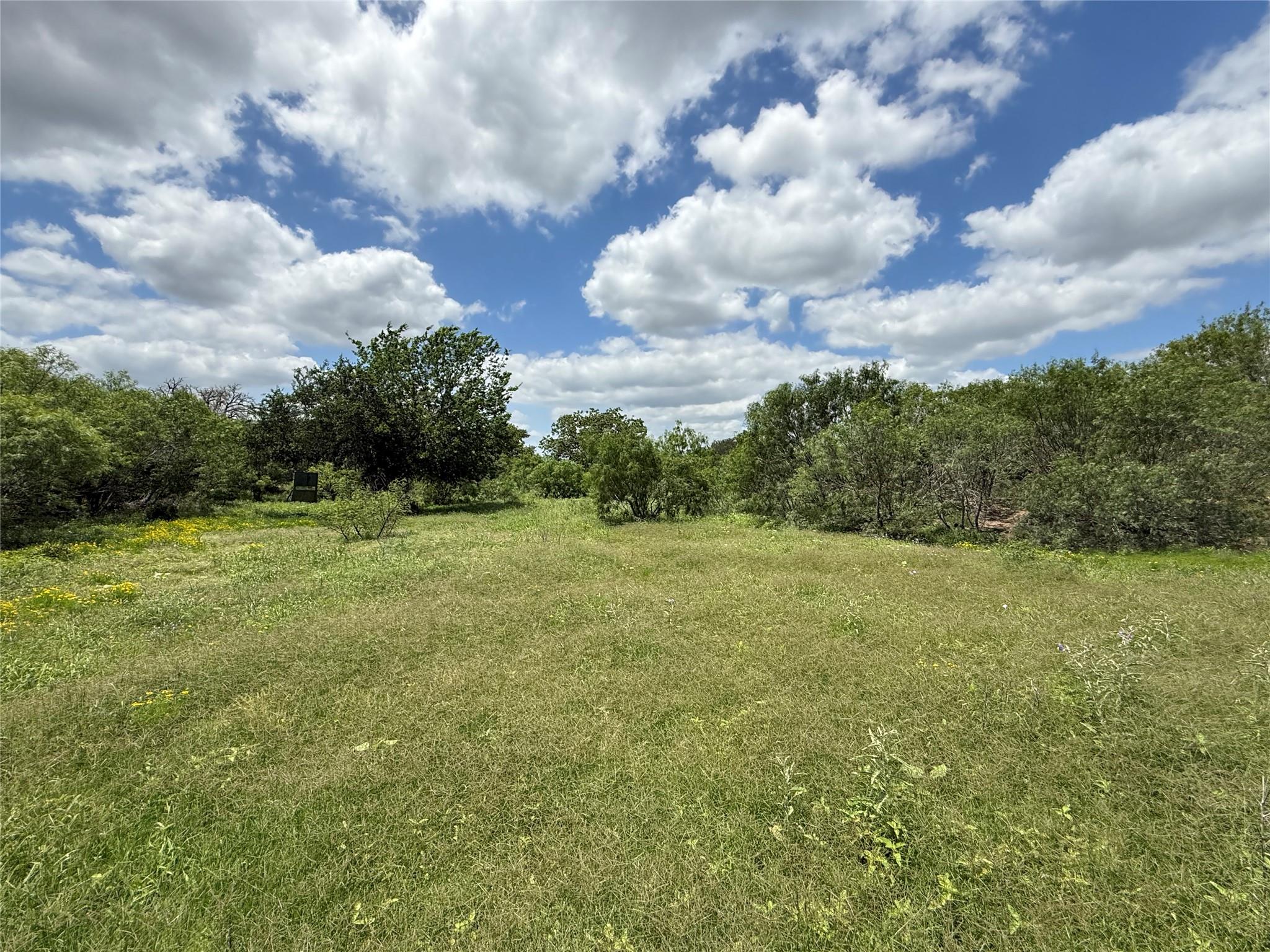 TBD 000 Pettytown, Red Rock, TX 78662 — photo 1